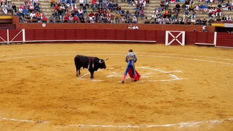 a bullring in spain, slow motion