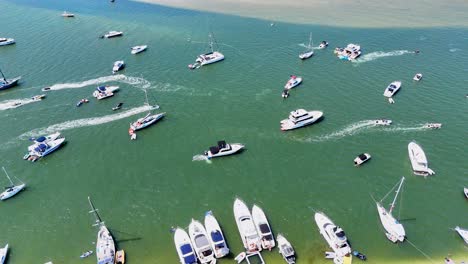 boats gather for australia day festivities on water