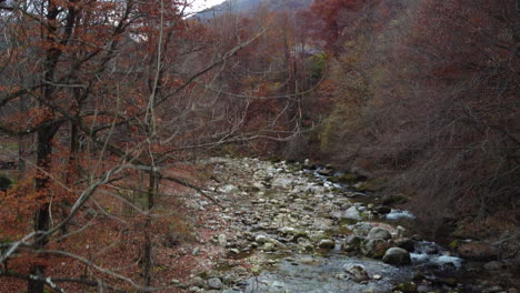 紅色和黃色樹木的山林河流秋葉空中圖