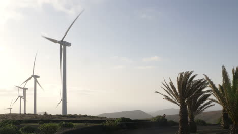 Plano-General-De-Aerogeneradores-En-Lanzarote,-Islas-Canarias,-España