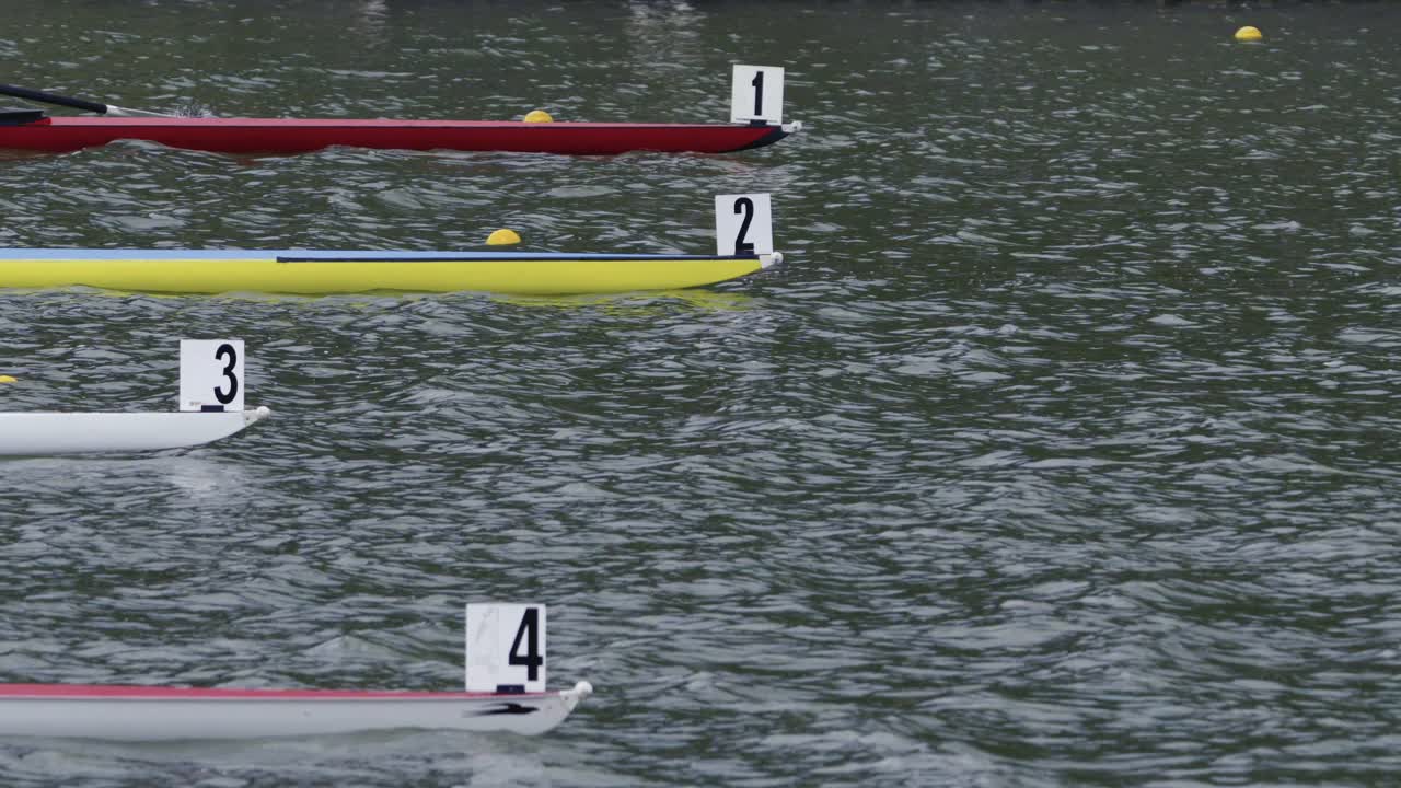 다채로운 단일 스컬이 스타트 라인에 배열되어 있습니다.