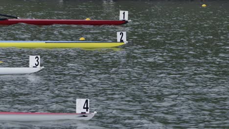 multi-coloured single sculls bows line up at the start line