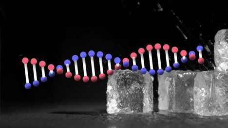 Animation-of-dna-strand-over-ice-cubes-on-black-background