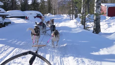 vista en cámara lenta del trineo tirado por husky en la carretera cubierta de nieve en suecia