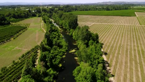 Fluss-Zwischen-üppigem-Laub-Auf-Einem-Wunderschönen-Ackerland-In-Der-Sommerlandschaft