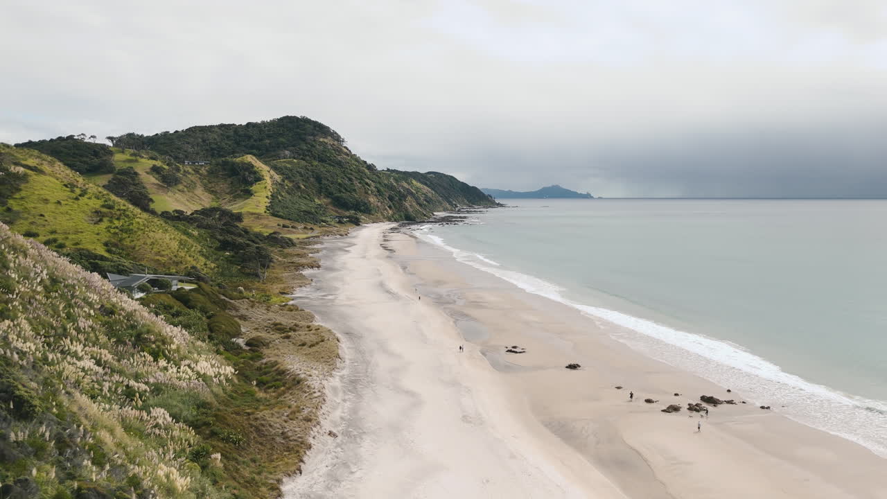 Coastal View of a New Zealand Beach