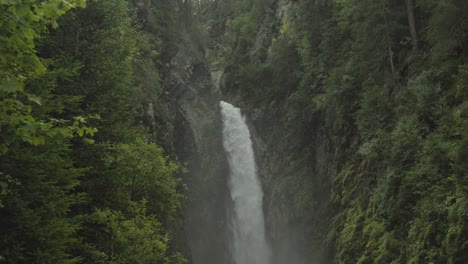 experience the serene beauty of an austrian forest waterfall surrounded by trees
