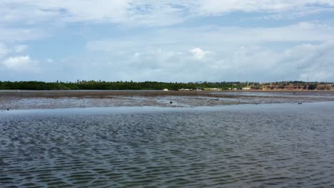 Fast-Dolly-in-aerial-drone-shot-flying-over-a-natural-sand-bar-with-exotic-birds-flying-in-the-tropical-Guaraíras-Lagoon-in-the-touristic-beach-town-of-Tibau-do-Sul,-Brazil-in-Rio-Grande-do-Norte