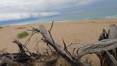 passing on a dry log on the coarse sand beach with the sea in the background a cloudy day in slow motion