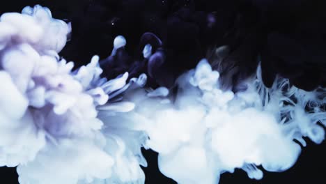 Slow-motion-video-of-white-watercolor-ink-mixing-in-water-against-black-background