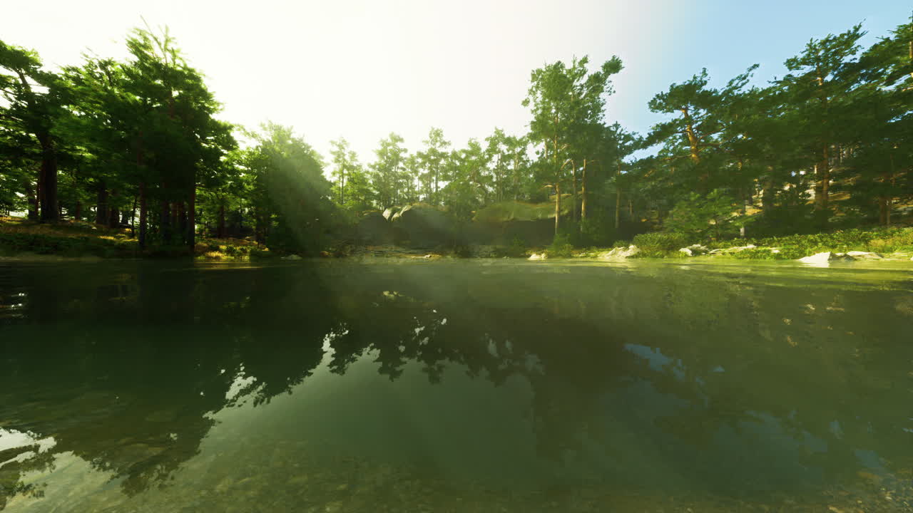 숲 속 의 조용 한 호수