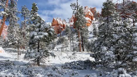 beautiful winter scenery stunning snow covered trees stand next to magnificent red rocks beautiful winter scenery stunning snow covered trees stand next to magnificent red rocks
