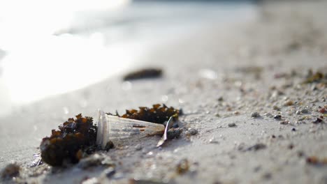 Trash-strewn-on-the-beach-of-Koh-Phangan-District-Surat-Thani-Thailand-Asia