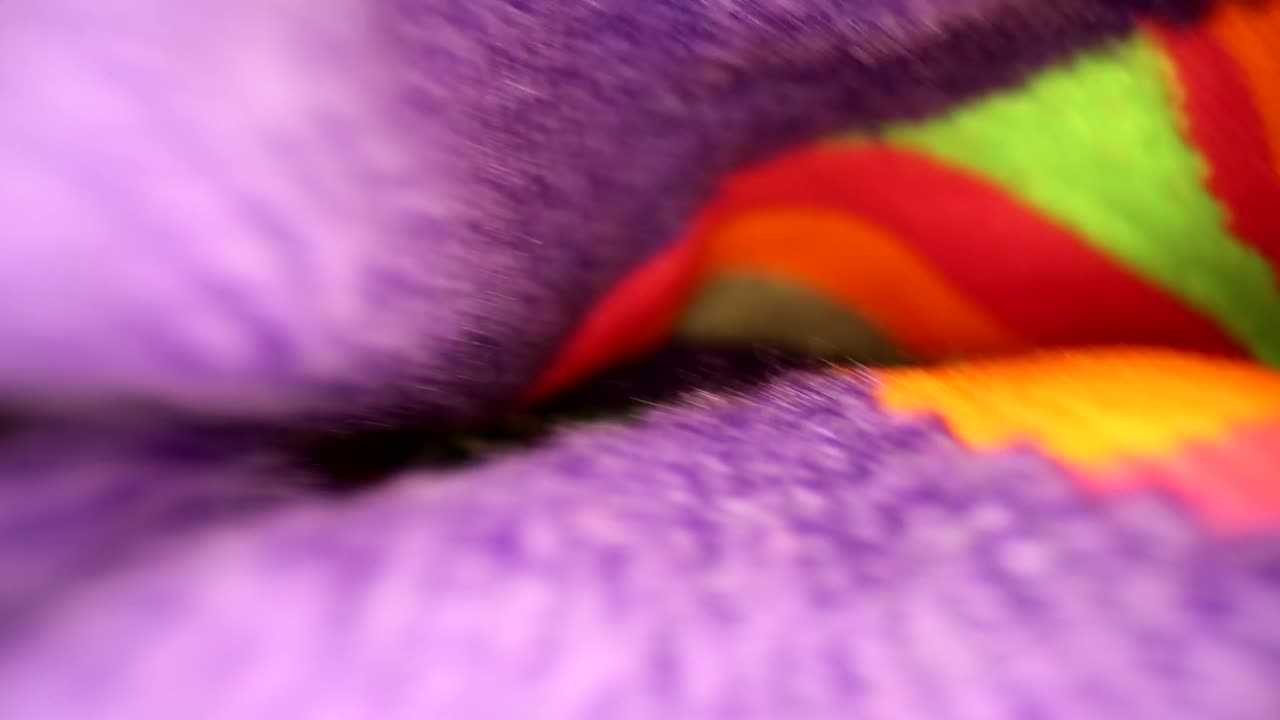 활기찬 멀티 컬러 크레이지 삭스를 밀고 저항에 부딪히다