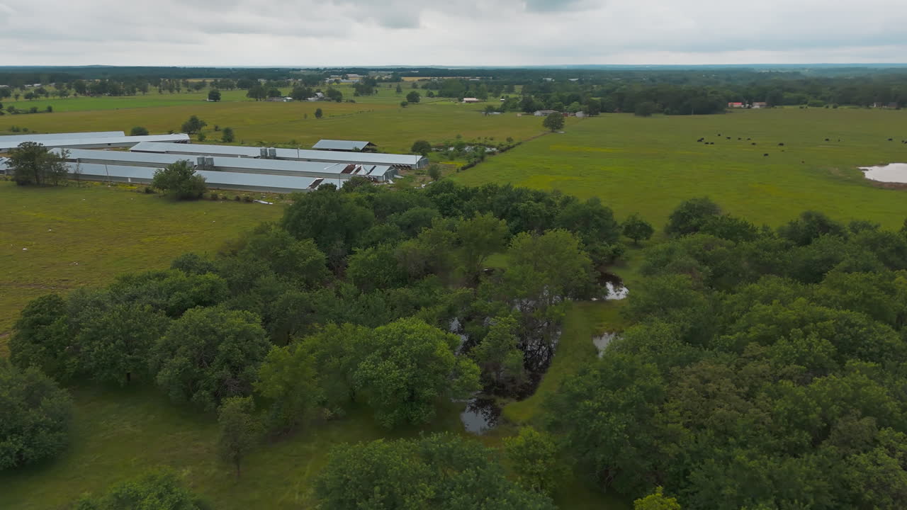 Vista aerea di pollai e fienili in un grande allevamento di polli vicino a Cherokee City in Arkansas, USA