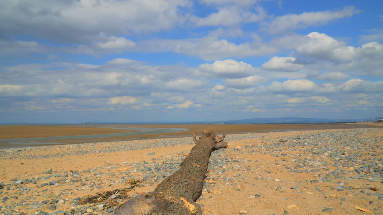 облака, дрейфующие над пляжем с большим стволом дерева