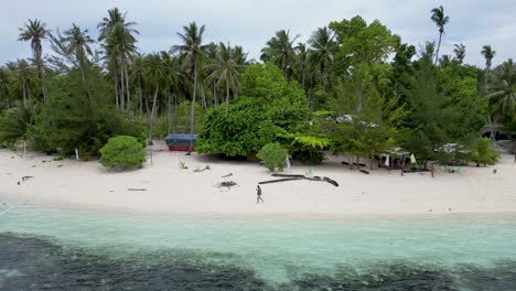 Aerial-sideview-tracking-tourist-walking-on-white-sandy-beach-with-palm-trees-behind