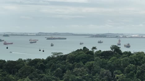 Teleféricos-Y-Barcos-De-Carga-En-La-Distancia-Más-Allá-De-Una-Línea-De-árboles-En-Singapur---Toma-Aérea-De-Drones