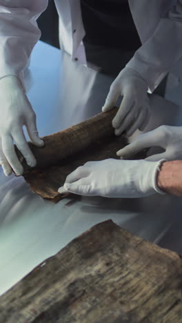 conservation of an ancient papyrus scroll