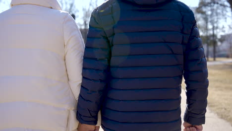 rear view of a senior couple holding hands and walking in the park on a winter day