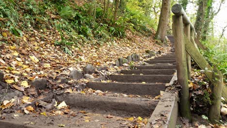 Autumn-season-woodland-rustic-wooden-staircase-in-countryside-forest-trekking-route-dolly-left-slow