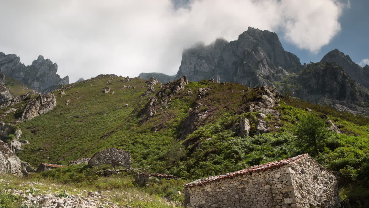 피코스 타임랩스 01