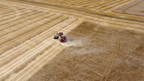 Aerial-drone-landscape-scenic-shot-of-tractor-cutting-wheat-combine-harvester-Agriculture-travel-tourism-farming-industry-Port-Pirie-Adelaide-South-Australia-4K