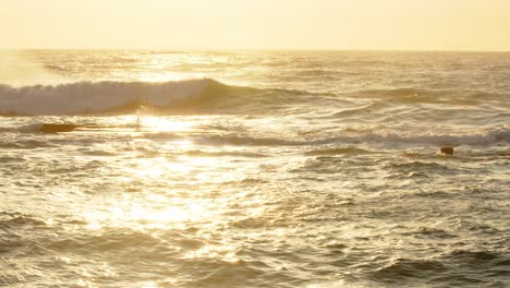 beautiful yellow sunset sky over the indian ocean, durban kwazulu-natal south africa. summer sunset seascape with waves crash on silhouette rocks.