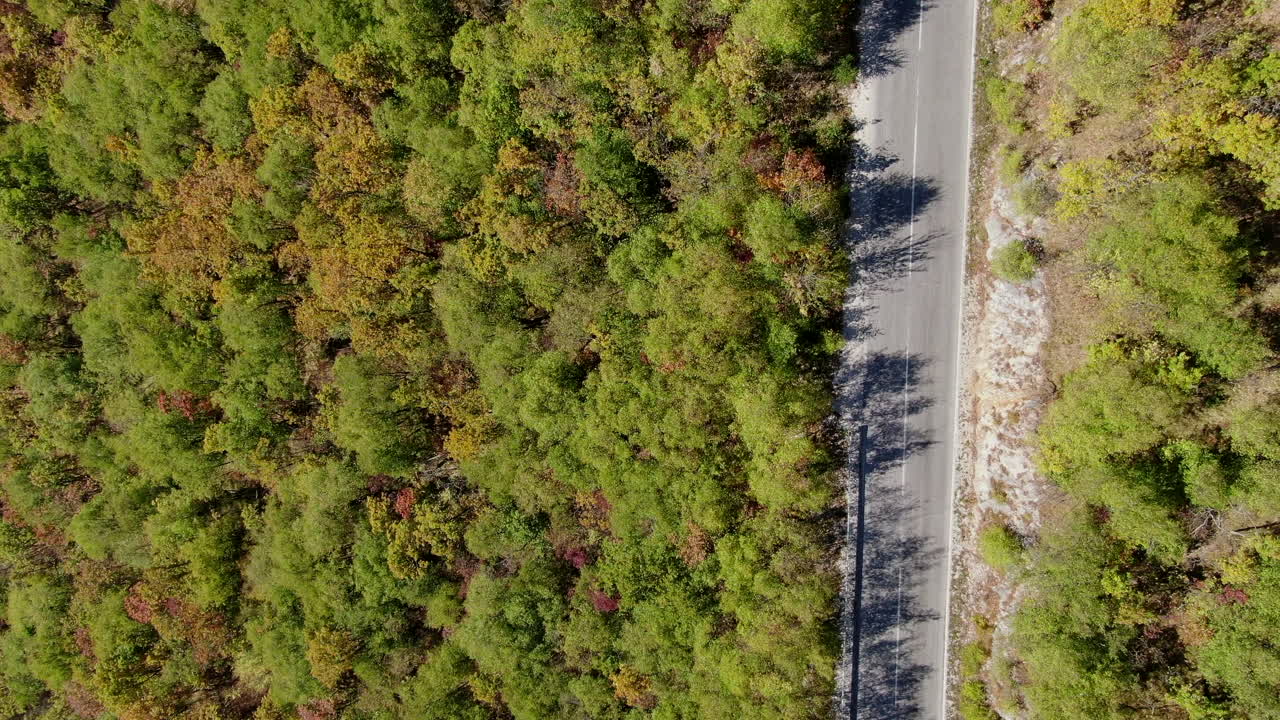 Road with a car in a wooded area The trees are green and there is a clear blue sky Taken from a high angle this outdoor scene shows the car