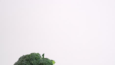 whole head of broccoli falling in slow motion on white backdrop in 4k