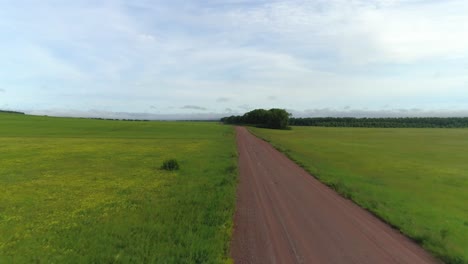 majestic red road