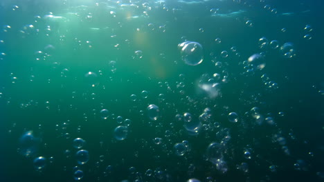 bubbles rising in clear underwater scene with sunlight