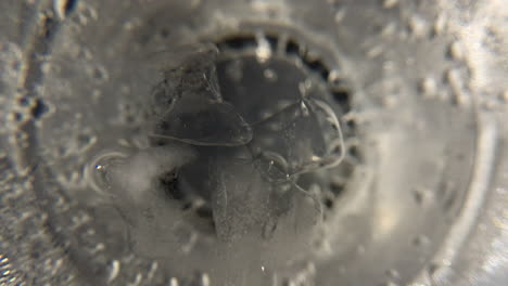 gods eye view of clear sparkling drink with ice