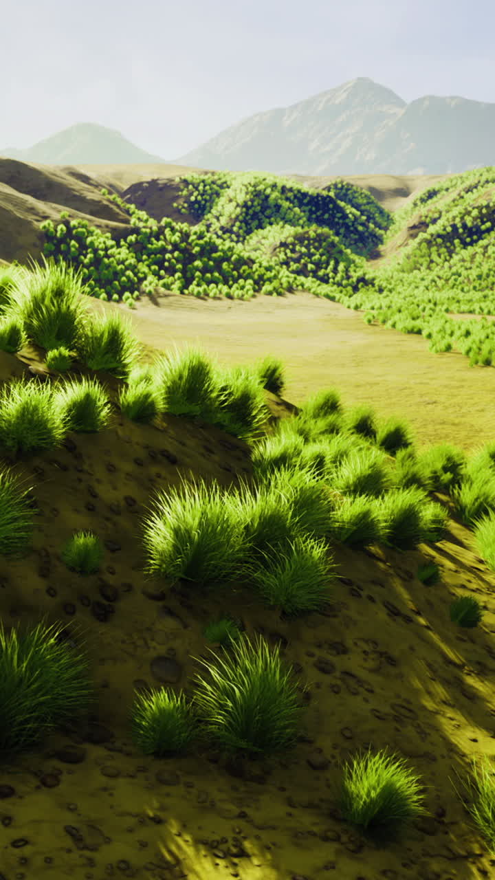 Vibrant green hills and valleys under a bright sky at sunrise glow beautifully