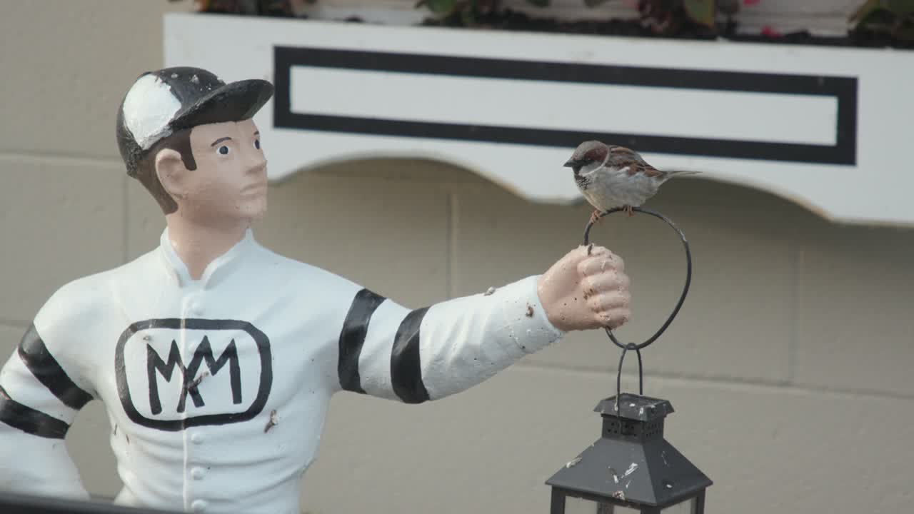 A small bird rests on a jockey statue near the barns at Churchill Downs during Derby week. Great for detail shots, atmosphere, and event storytelling.