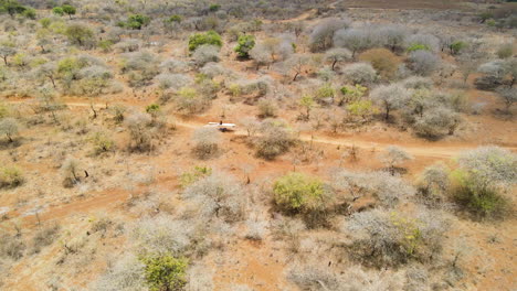 antena del hombre que transporta madera por un camino de tierra en las zonas rurales de kenia