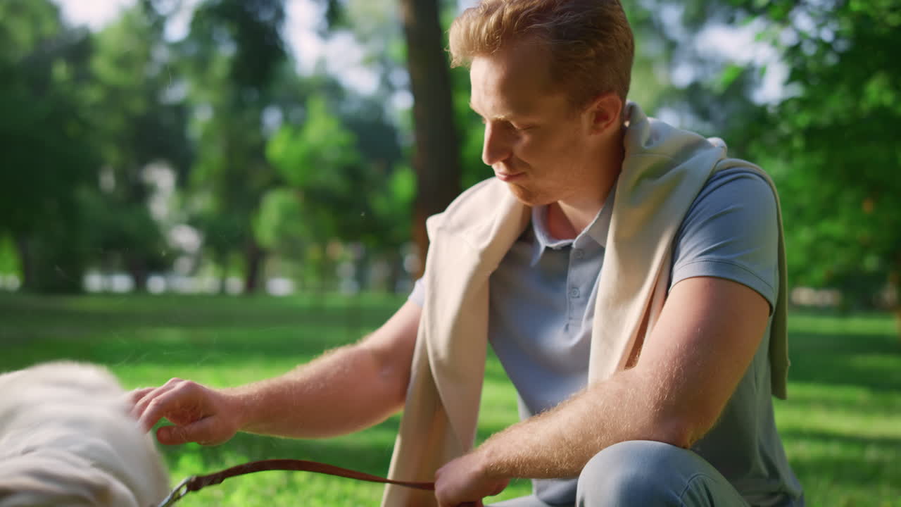 즐거운 미소 남자가 공원에서 골든 레트리버를  ⁇ 는다. 개가 머리를 흔들고  ⁇ 리를 흔들고