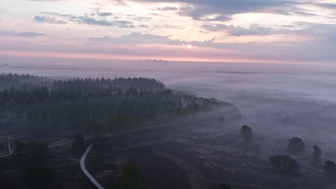 모어랜드 숲 위의 안개가 가득한 해가 뜨는 것