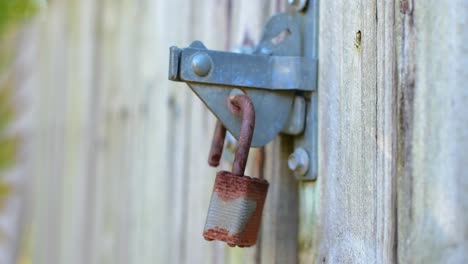 Beautifully-shot-high-quality-alternate-angle-close-up-of-a-rusty-old-broken-padlock-and-latch-on-an-old-wooden-gate,-rocking-gentle-on-the-latch-in-the-breeze,-with-stylish-bokeh