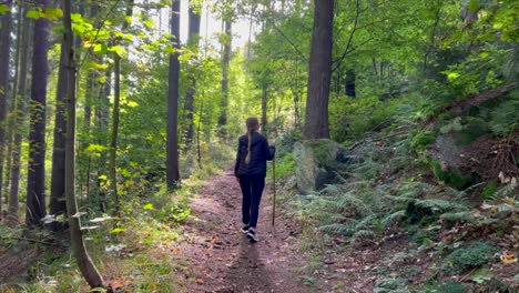 Woman walking on a forest trail
