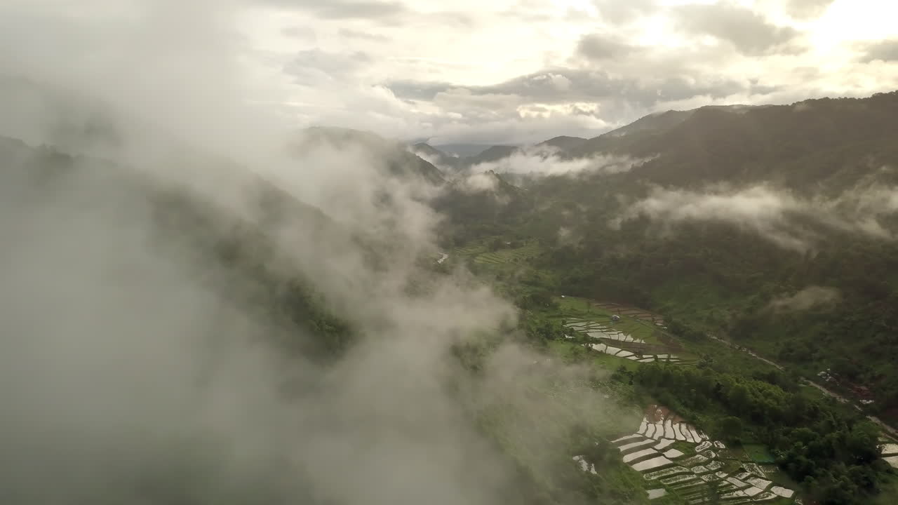 울창한 초록색 열대 열대 우림 산의 멋진 공중 풍경