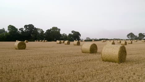 Movimiento-Lento-Entre-Fardos-De-Heno-En-El-Campo-Después-De-La-Cosecha