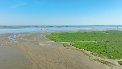 Aerial-shot-flying-towards-a-red-cargo-ship-passing-by-vibrant-green-wetlands-along-a-river-under-a-blue-sky