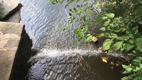 El-Agua-Del-Arroyo-Del-Río-Fluye-En-El-Bosque