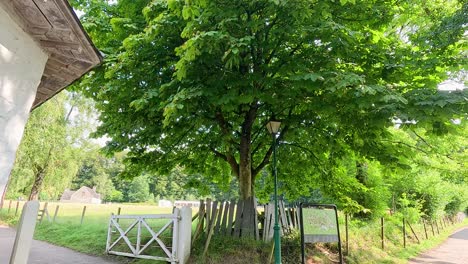 un gran castaño en un parque