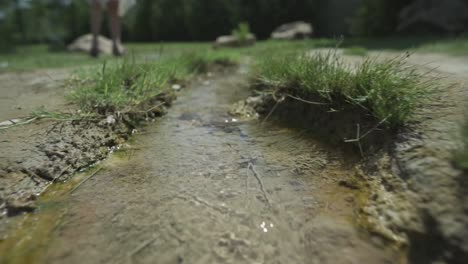 following the flow of the crsytal clear, clean mineral waters found in the church yard of st. petka church, near the town of rupite, petrich in bulgaria.