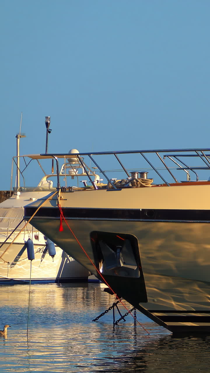 White boats docked in the Port de Cannes in France. Vertical