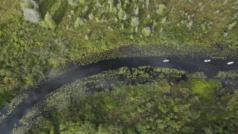 Paddle-boarders-in-Victoria-Creek-near-Cedar,-Michigan,-USA,-aerial-top-down-view