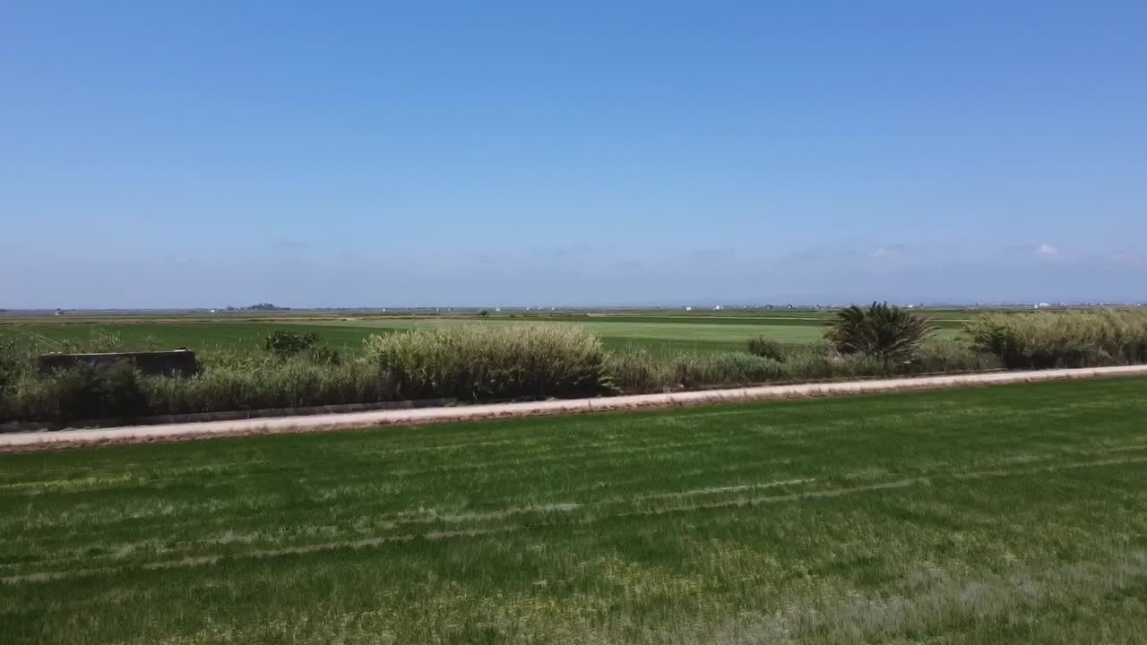 vuelo sobre arrozales inundados