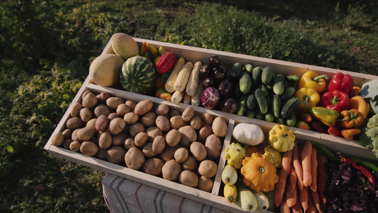 파머스 마켓 2의 제철 야채 카운터